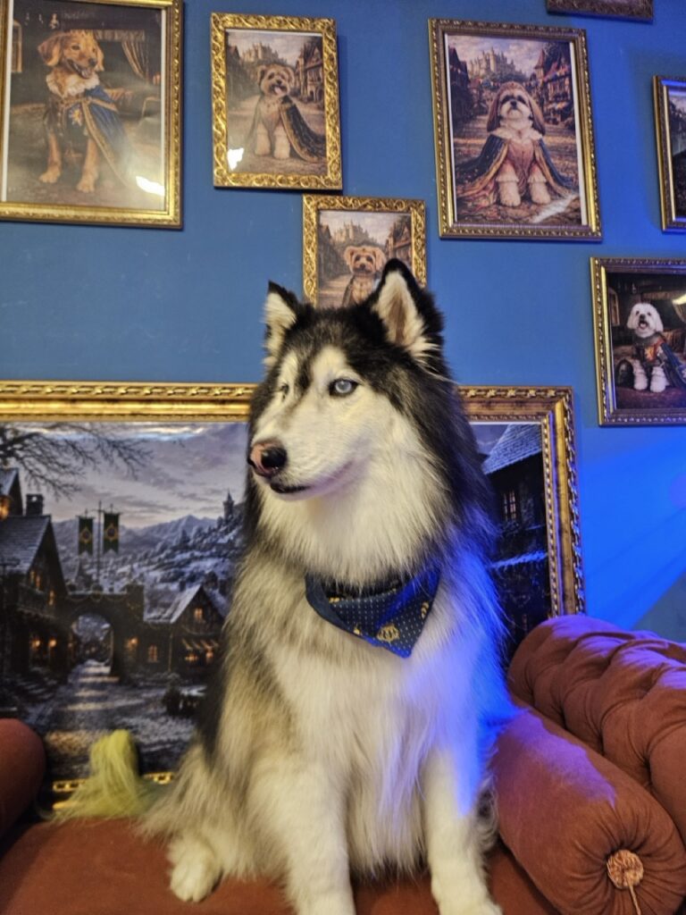 Príncipe na Realeza Pets, foto 5