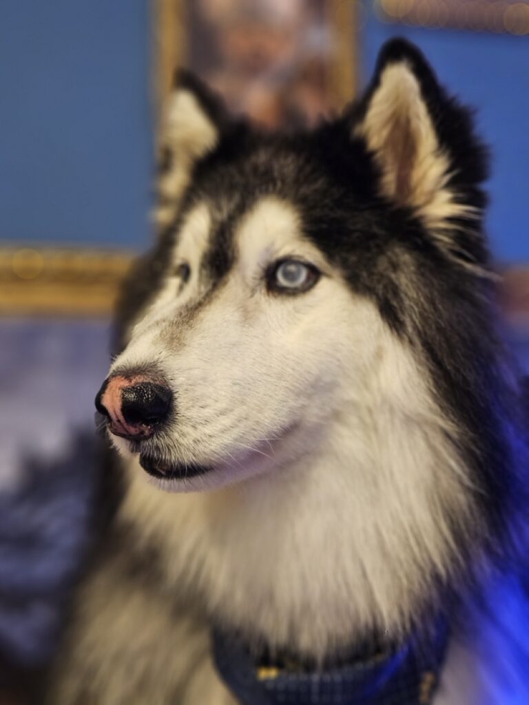 Foto de capa