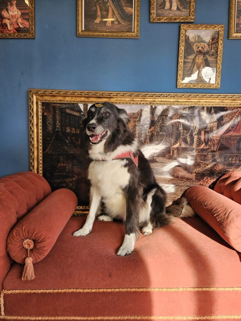 Foto de capa