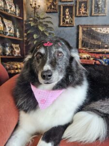 Princesa