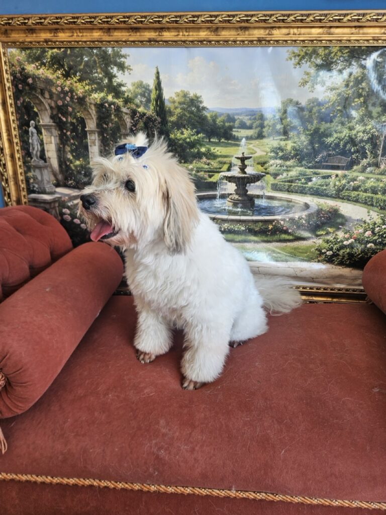 Foto de capa