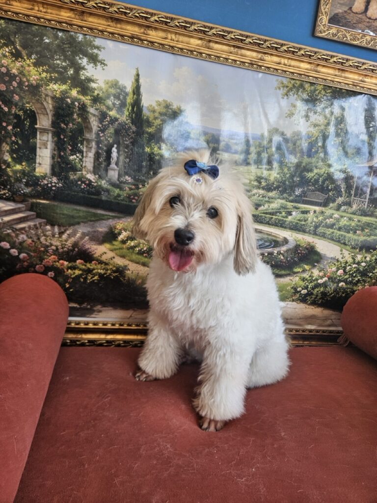 Foto de capa