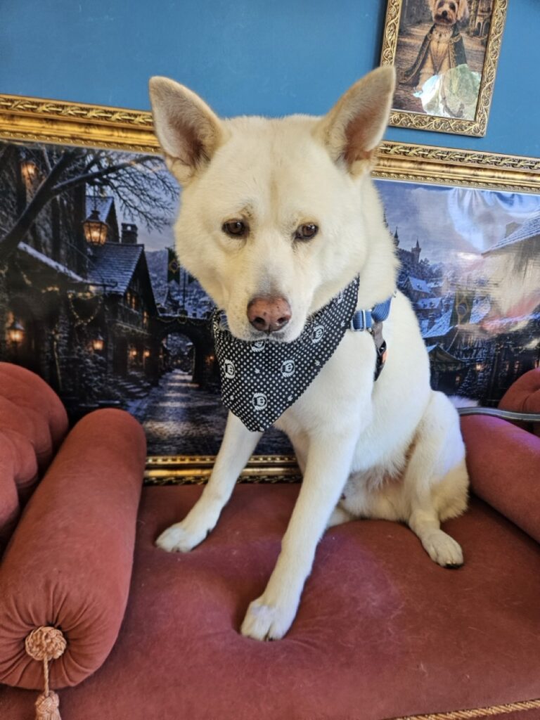 Foto de capa