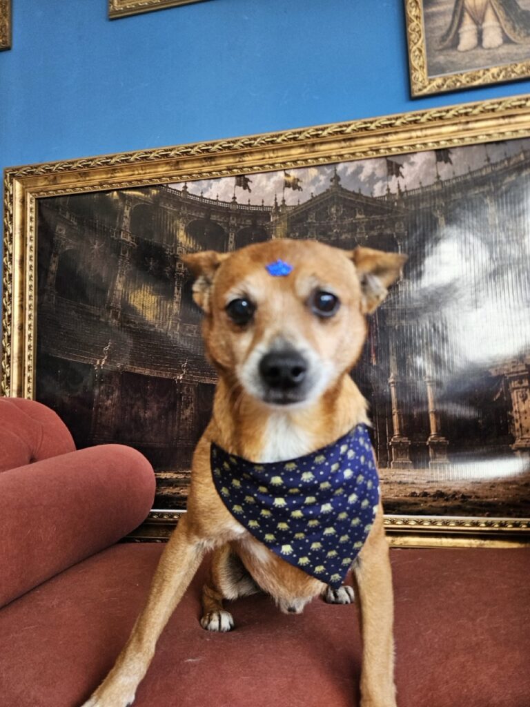Foto de capa