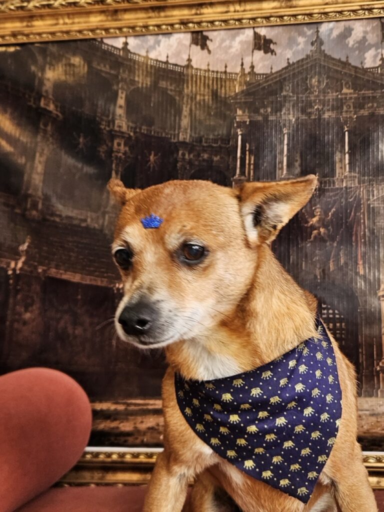 Foto de capa