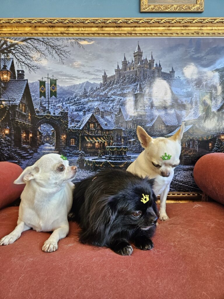 Black na Realeza Pets, foto 13