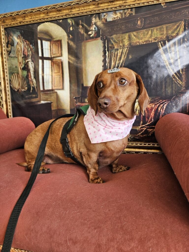 Foto de capa