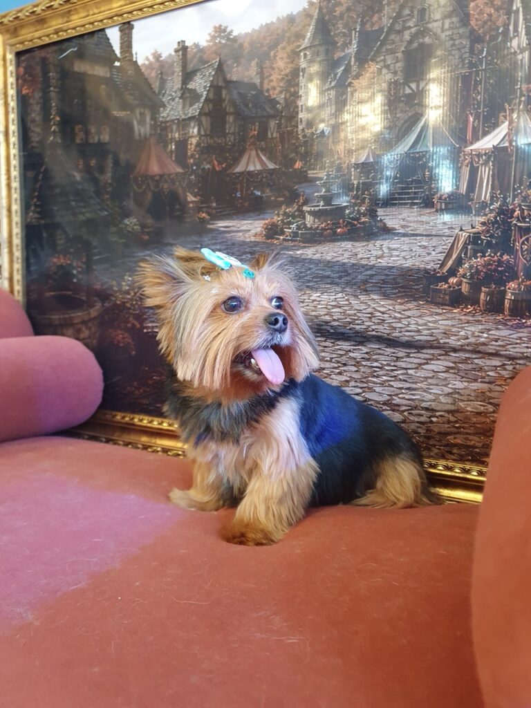 Malu na Realeza Pets, foto 17