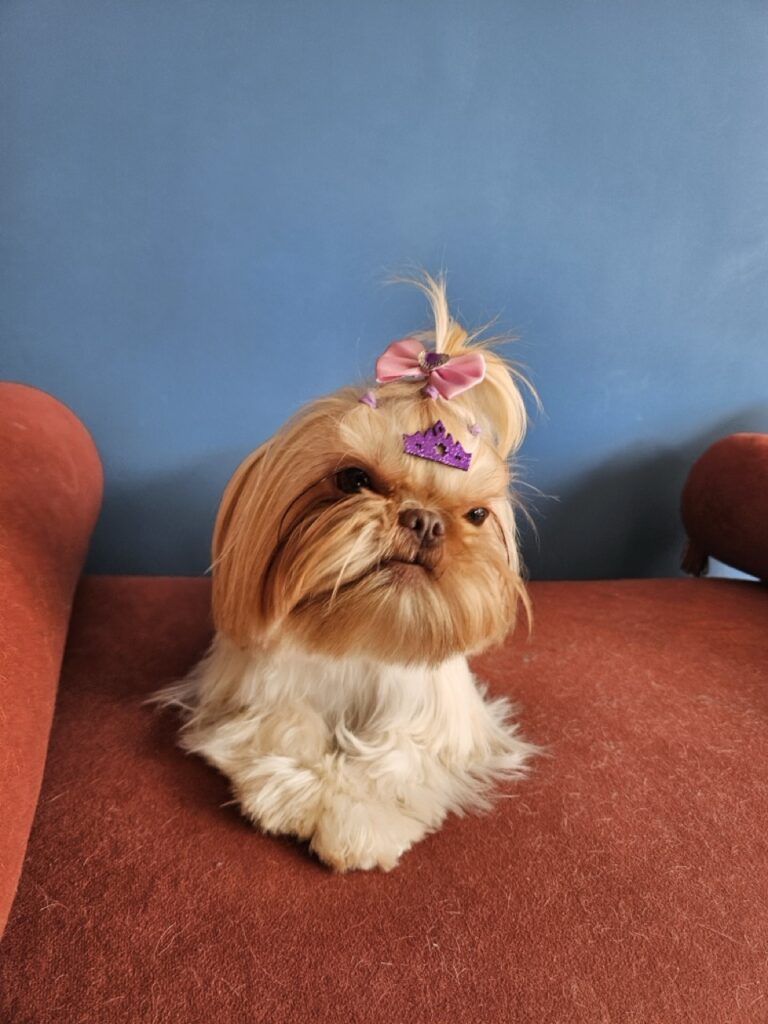 Foto de capa