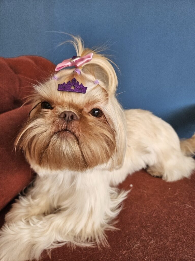Foto de capa