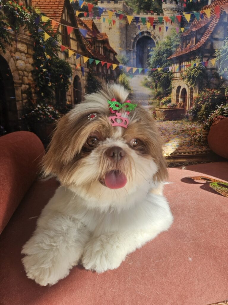 Mavie na Realeza Pets, foto 5