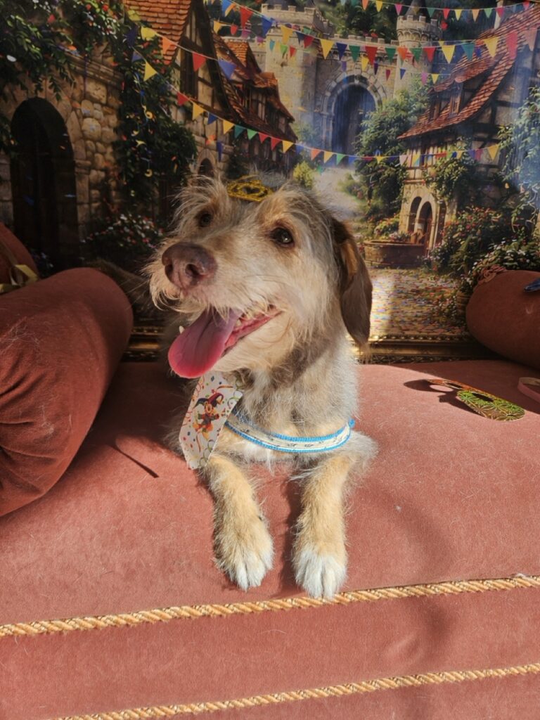 Foto de capa