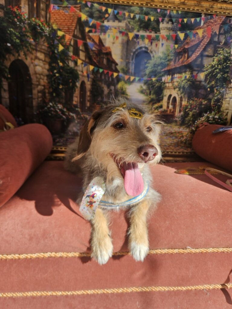 Foto de capa
