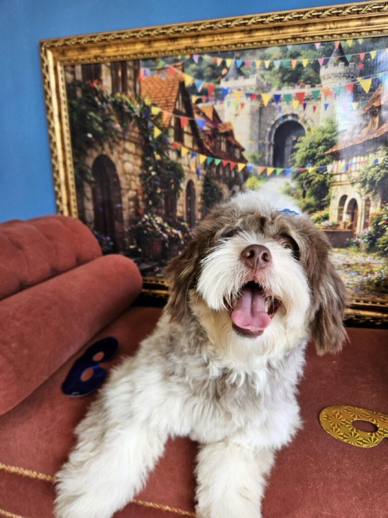 Foto de capa