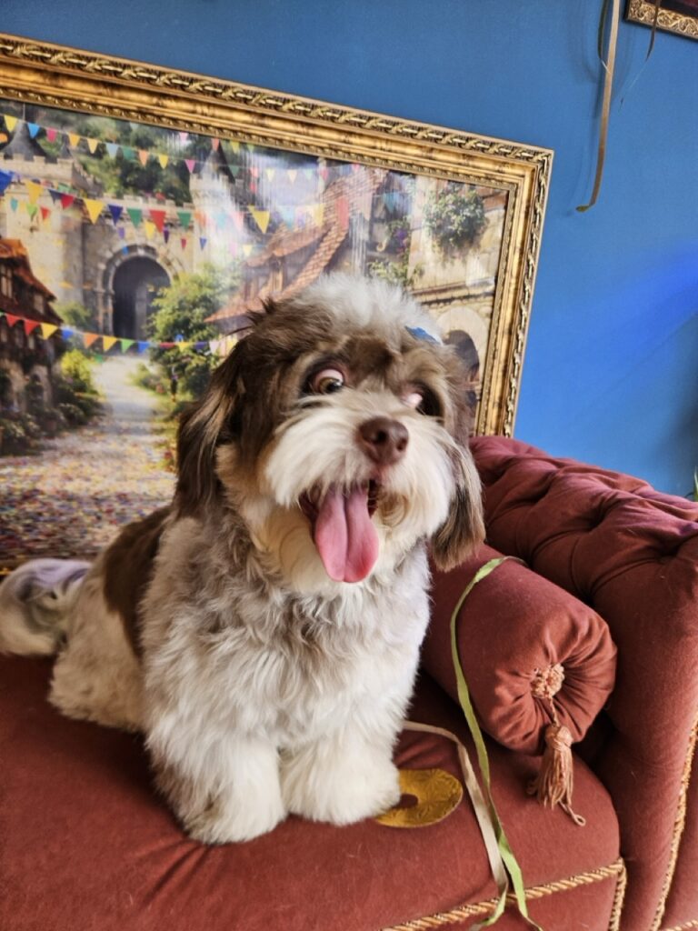 Foto de capa
