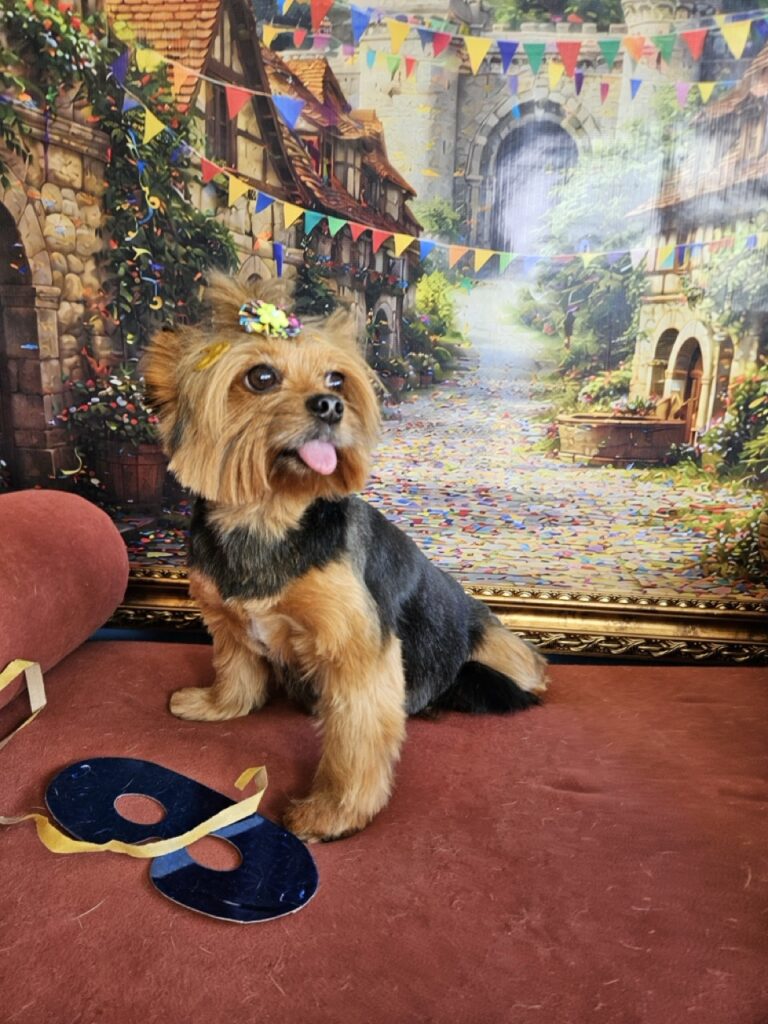 Malu na Realeza Pets, foto 8