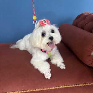 Lupita