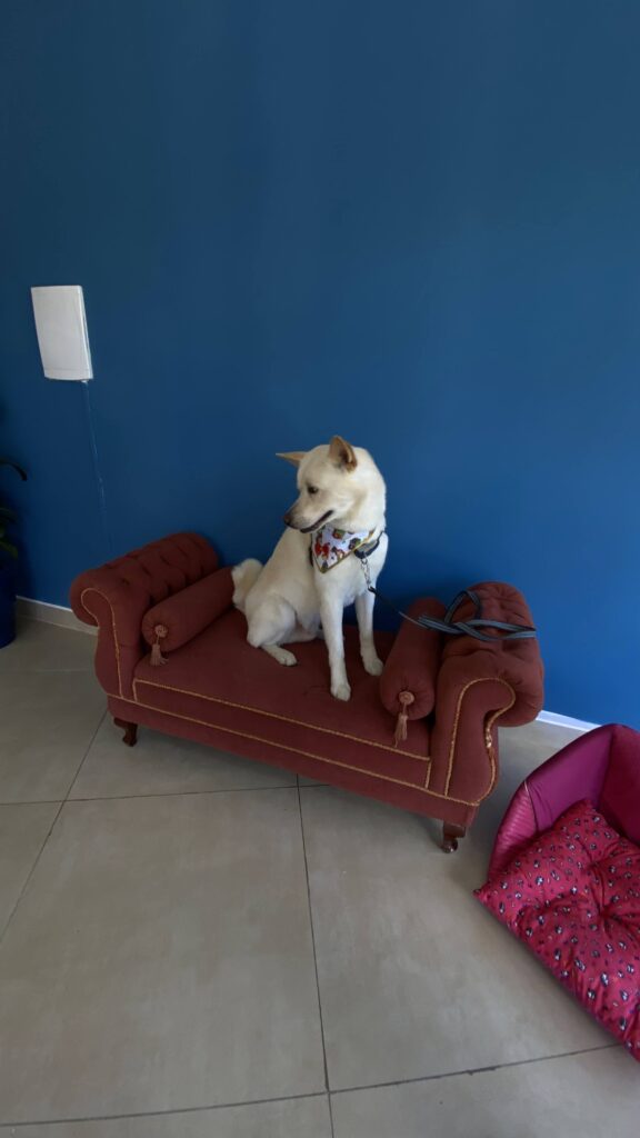 Foto de capa
