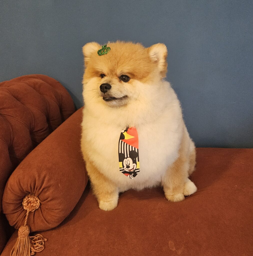Foto de capa