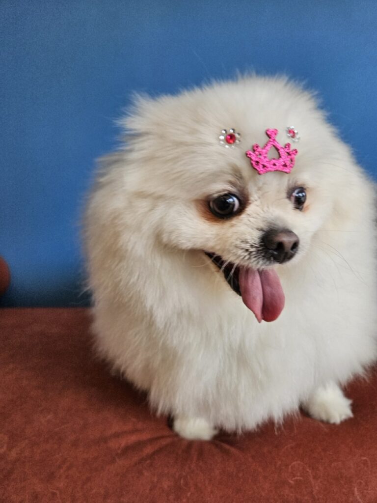 Foto de capa