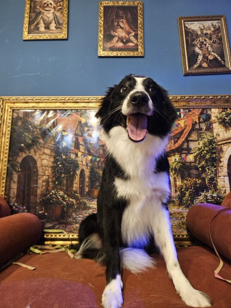 Foto de capa