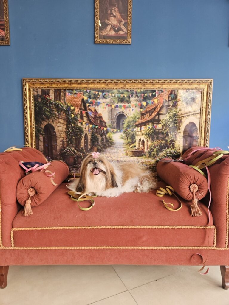 Foto de capa