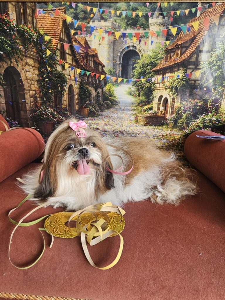 Katy Perry na Realeza Pets, foto 5