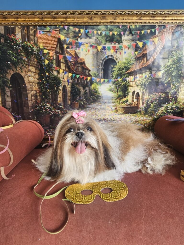 Katy Perry na Realeza Pets, foto 6