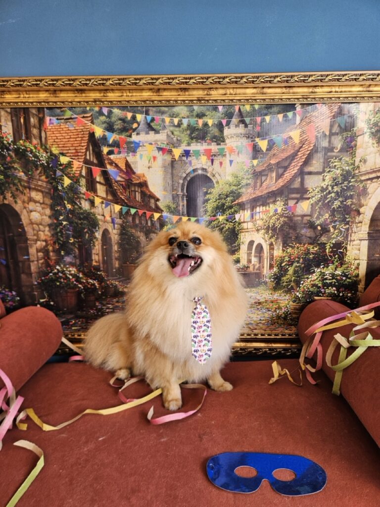 Foto de capa