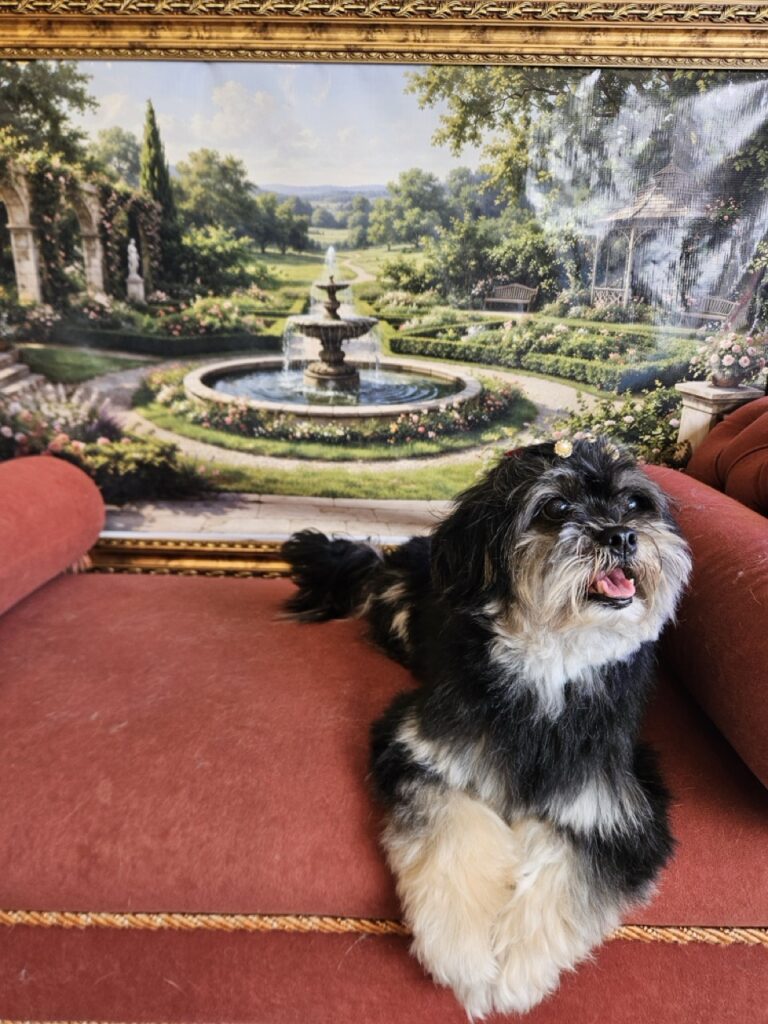 Nutella na Realeza Pets, foto 28