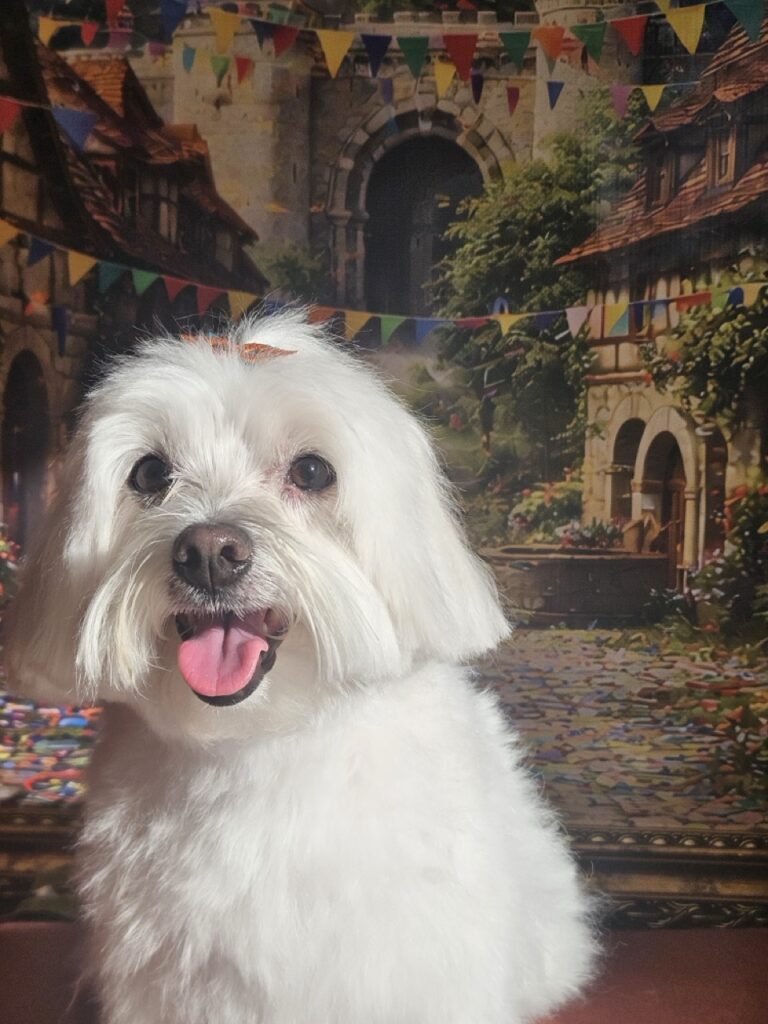 Foto de capa