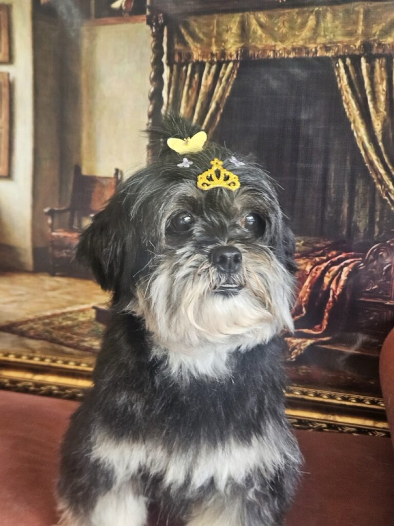Nutella na Realeza Pets, foto 17