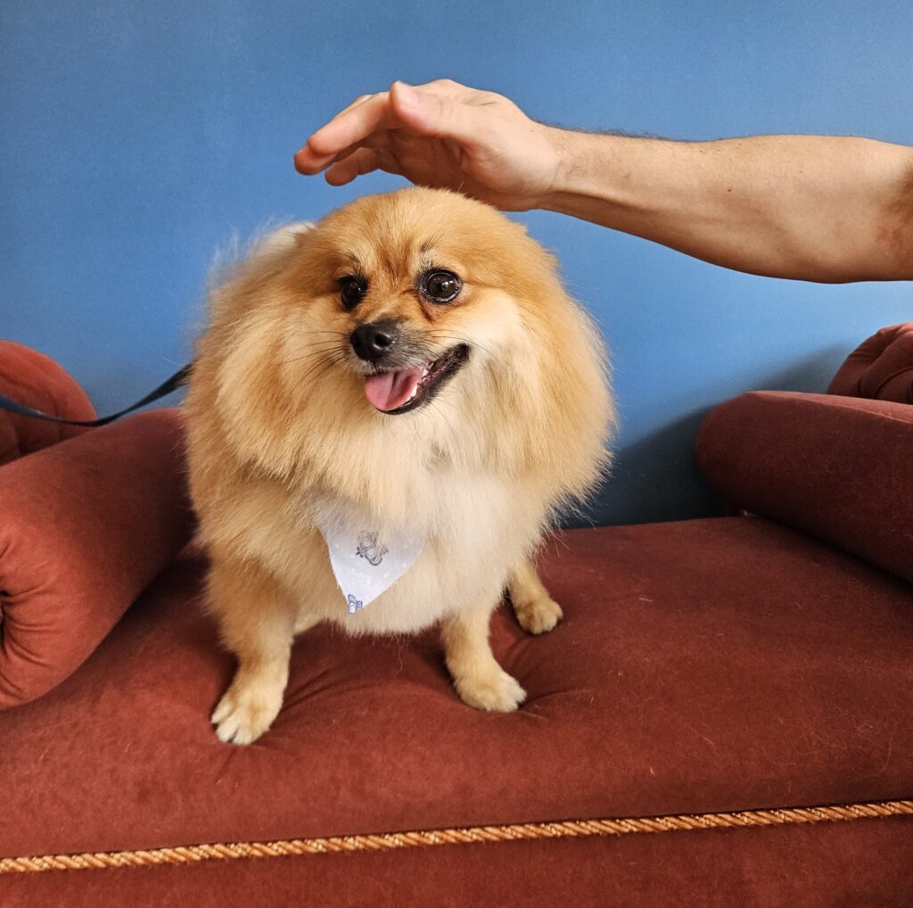 Foto de capa