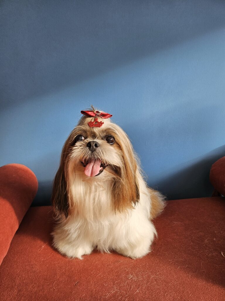 Foto de capa