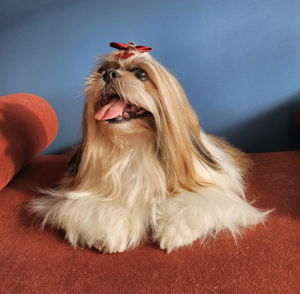Foto de capa