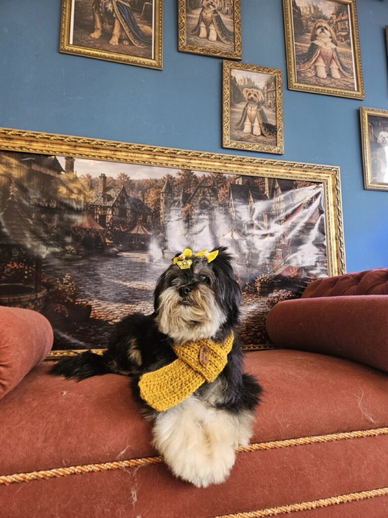 Nutella na Realeza Pets, foto 41