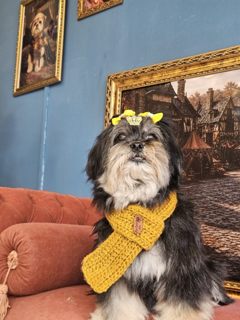 Nutella na Realeza Pets, foto 42