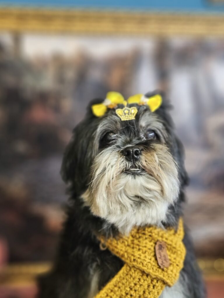 Nutella na Realeza Pets, foto 43