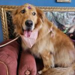 Fiona
