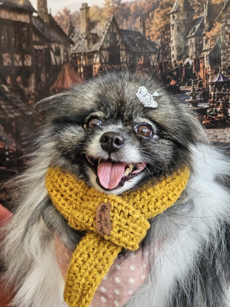Sophie na Realeza Pets, foto 11