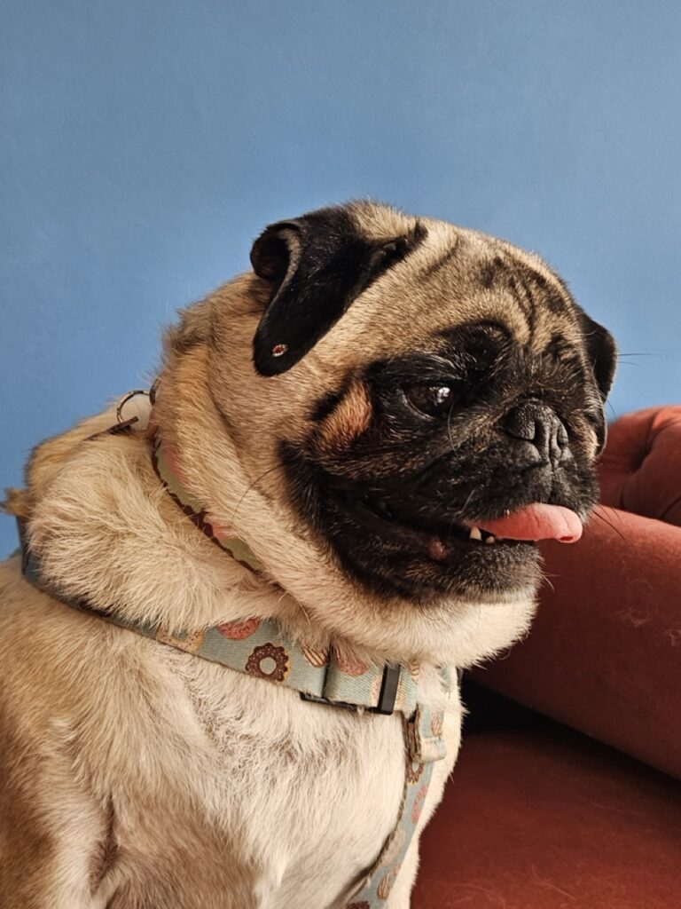 Foto de capa