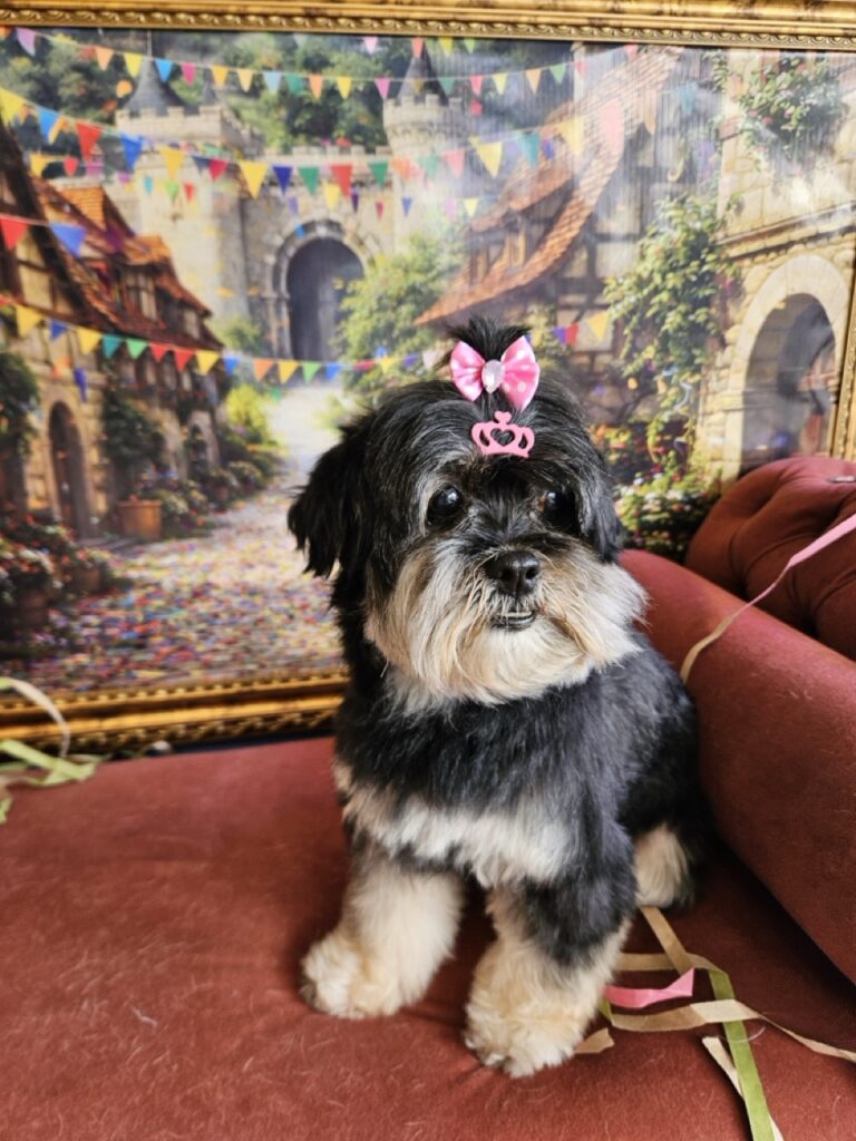 Nutella na Realeza Pets, foto 11