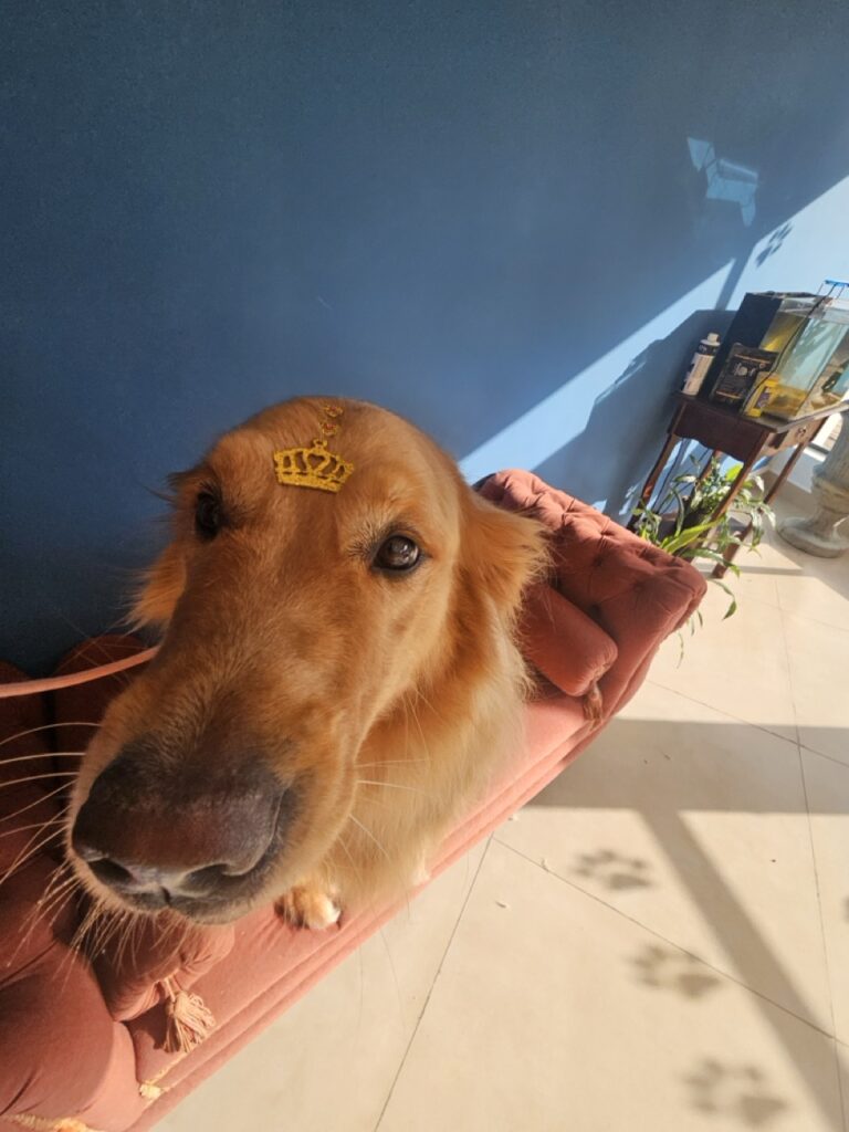 Foto de capa