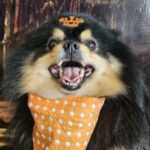 Duke
