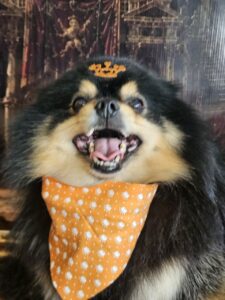 Duke