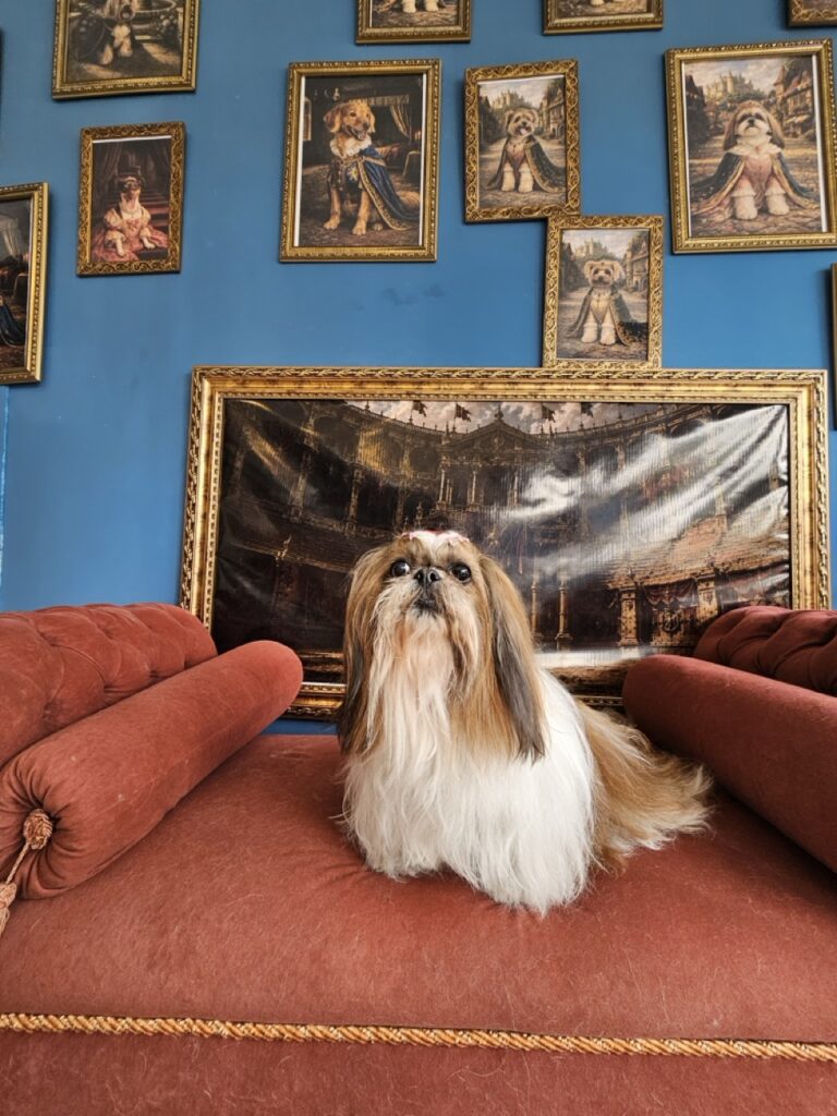 Katy Perry na Realeza Pets, foto 40