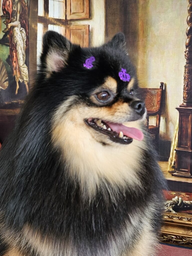 Foto de capa