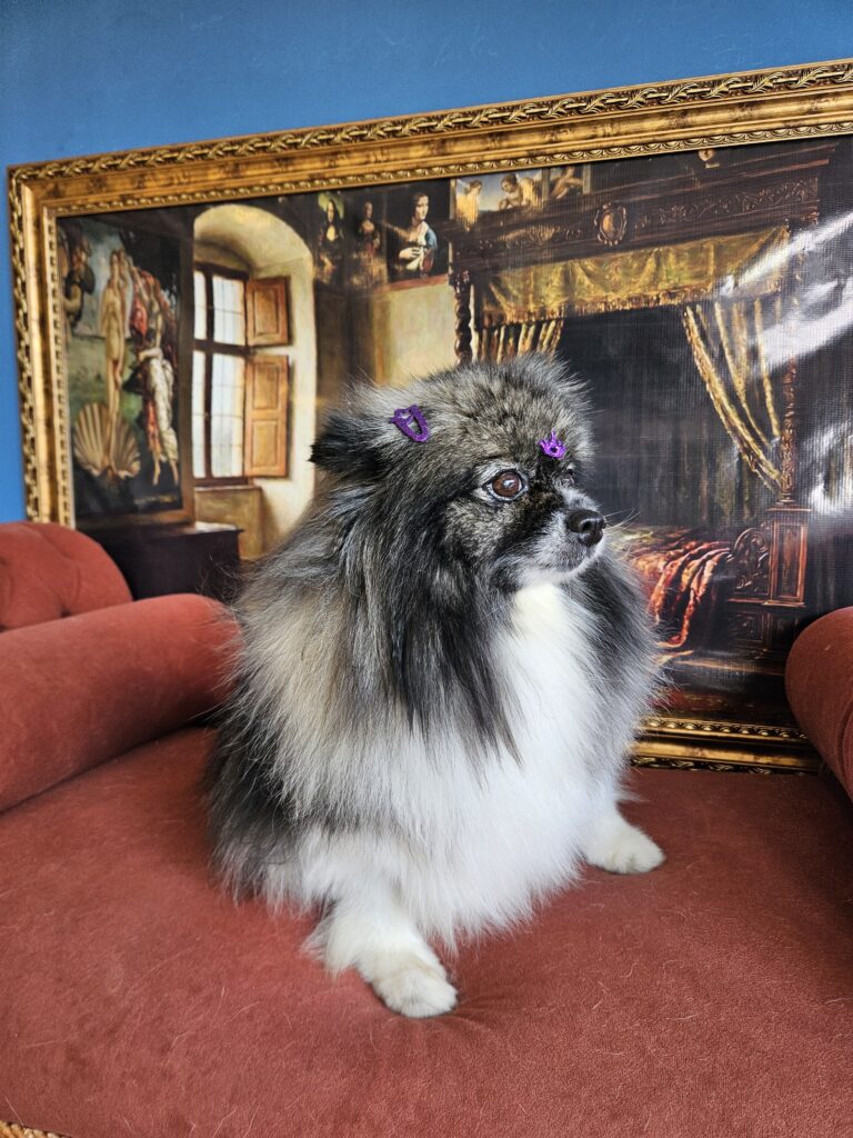 Foto de capa