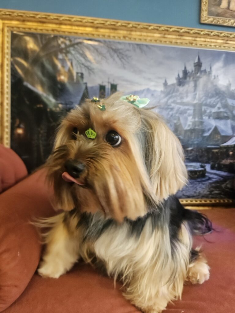 Nana na Realeza Pets, foto 34