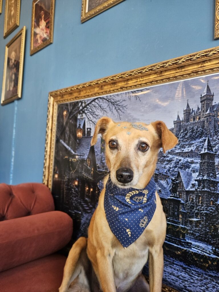 Foto de capa